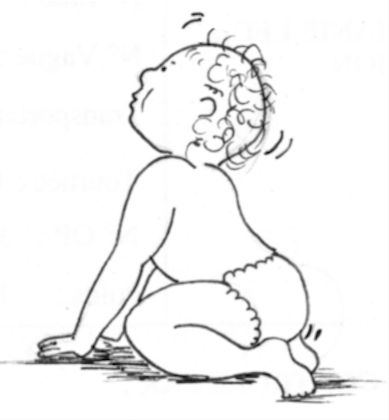 Reflexe-bebe