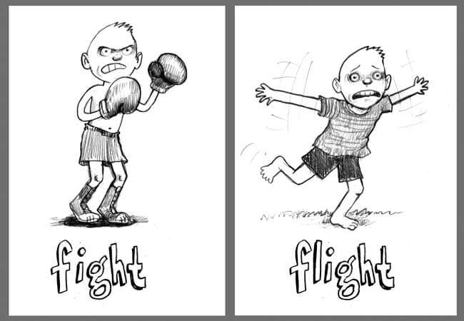 flight-flight