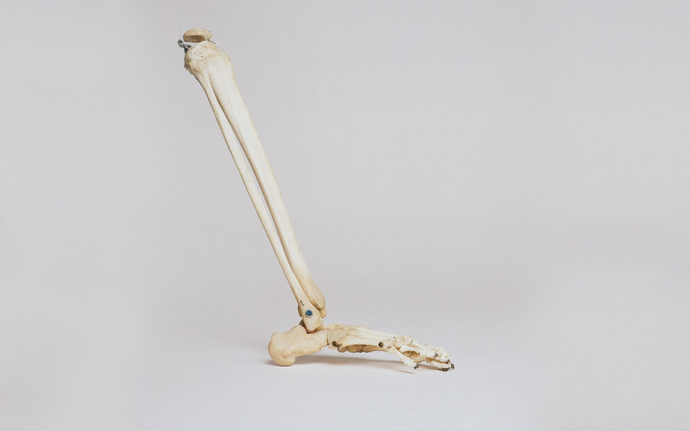 Osteopathy-Joint Osteopathy-Joint