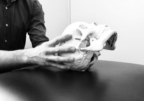 Osteopathy-Cranial